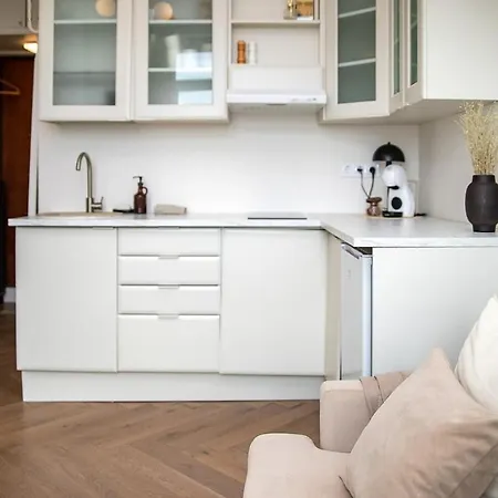Cozy Loft Close To The Center Apartman Tallinn